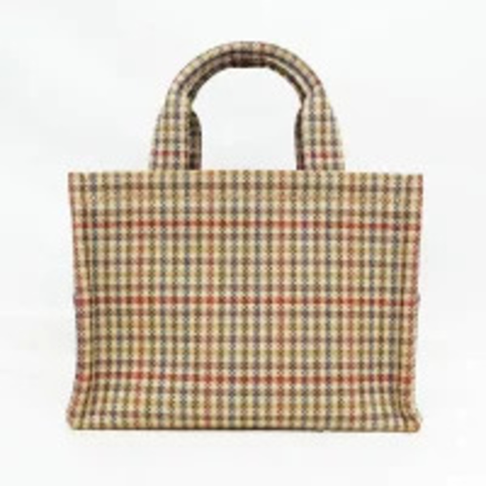 Celine Brown Cabatice Check Triomphe